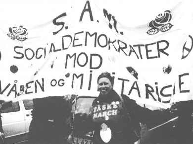 SAM-demo