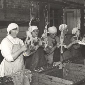 Kvindelige slagteriarbejdere i Aarhus, 1934