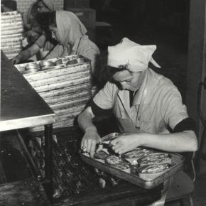 Fiskekonserves kommes på dåser, 1940'erne